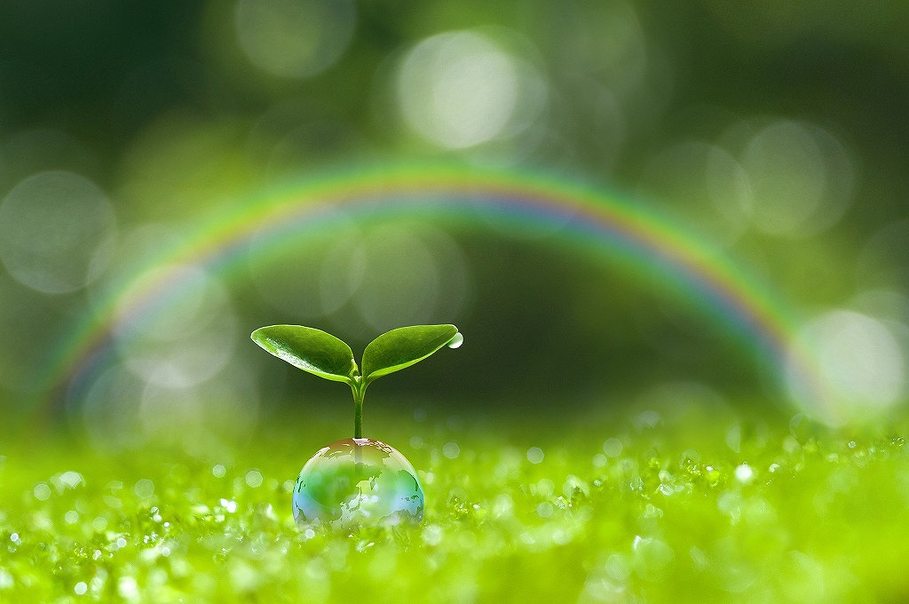 会社名・代表者変更のお知らせ